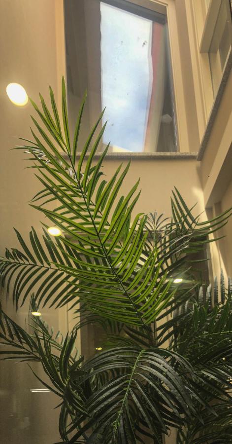 Rua Grande Hotel فيانا دو كاستيلو المظهر الخارجي الصورة